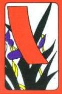 Plain ribbon (Iris)