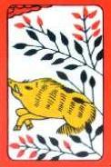 BOAR
