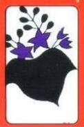 Paulownia